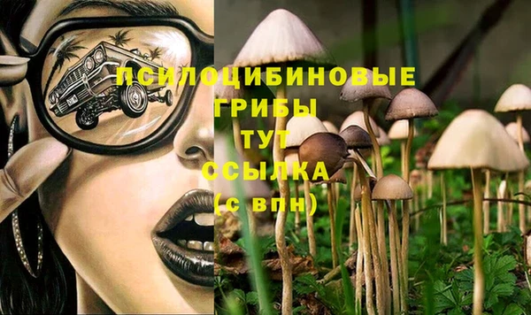 гашик Абаза